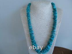 Exceptional Natural Turquoise And Sterling Native American Navajo Style Necklace