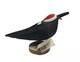 Native American Navajo Folk Art Santa Crow Ray & Alondra Lansing W Coa Signed