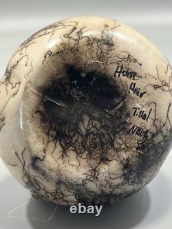 Native American Navajo Horse Hair Etched Lizard Wedding Pottery Vase Signed 8