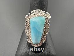 Native American Navajo Robert Shakey Sterling Silver 925 Blue Larimar Ring Sz 9