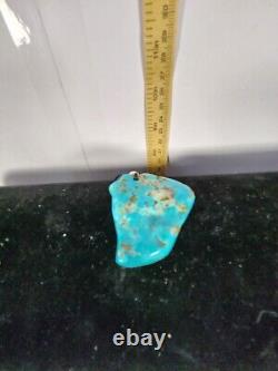 Native American Navajo TURQUOISE Stone, Chian Pendant