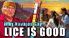 Native American Navajo Teaching About Lice And Why It Serves A Good Purpose