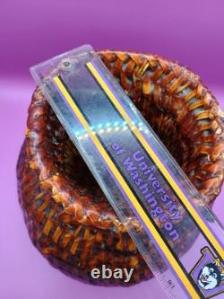 Native American Pitch Basket withHorse Hair Handles Navajo Museum Nice