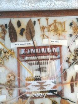 Navajo Dye Chart Framed Native American Style Art 12 Plants 11-1/2 x 14-3/4