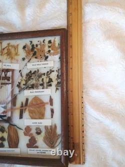 Navajo Dye Chart Framed Native American Style Art 12 Plants 11-1/2 x 14-3/4