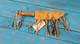 Rare Native American Navajo Handmade Indian Bone Knife (right Side)