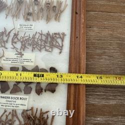 Vintage Navajo Medicine Chart Arletta Henderson Native American Indian 14x11