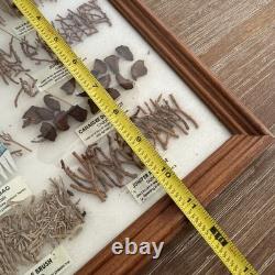 Vintage Navajo Medicine Chart Arletta Henderson Native American Indian 14x11