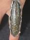 Ancienne Bague Navajo Am&eacute;rindienne En Argent Sterling