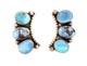 Boucles D&rsquo;oreilles Am&eacute;rindiennes Navajos En Turquoise Golden Hills Par Garcia Sku233184