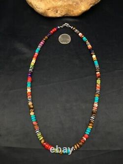 Native American Multicolor Treasure Turquoise Sterling Collier En Argent 20 4167
