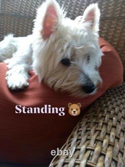 Pendentif signé en argent sterling avec Appaloosa Navajo/Magnesite amérindien